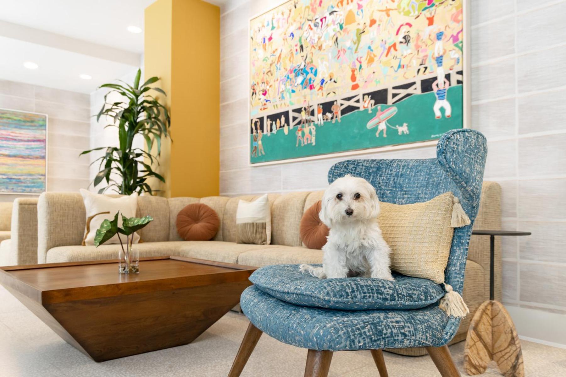 Hotel Continental Miami Beach, Tapestry Collection By Hilton Luaran gambar